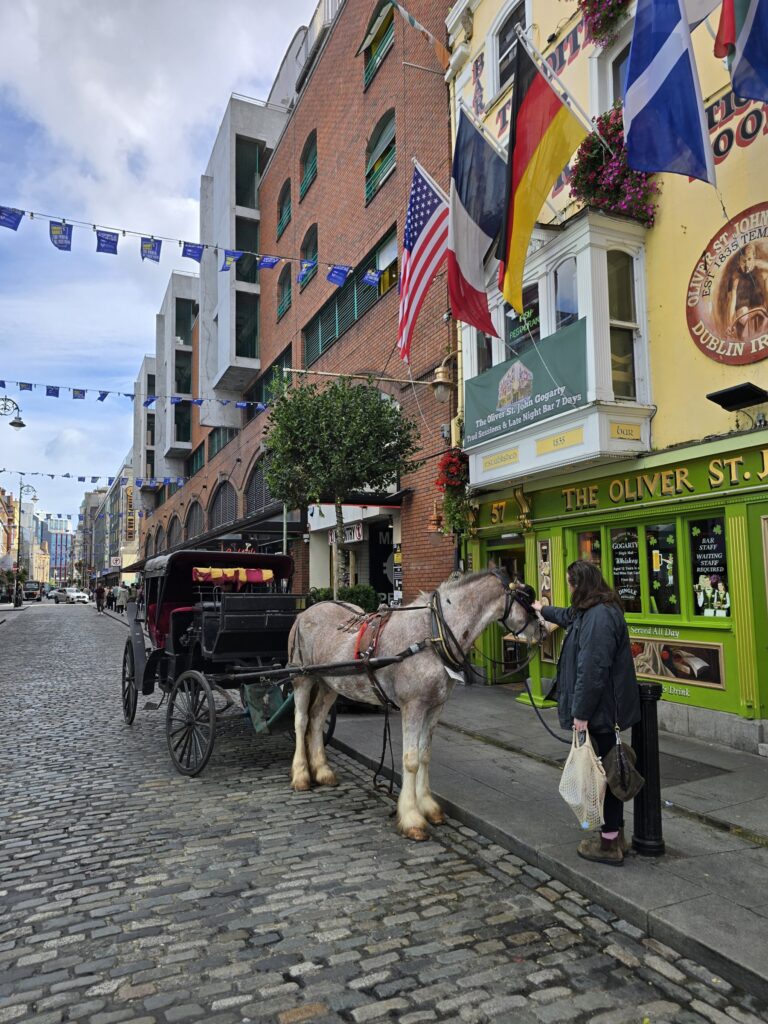 Horse and carriage outside the Oliver St. John Gogarty in Temple Bar