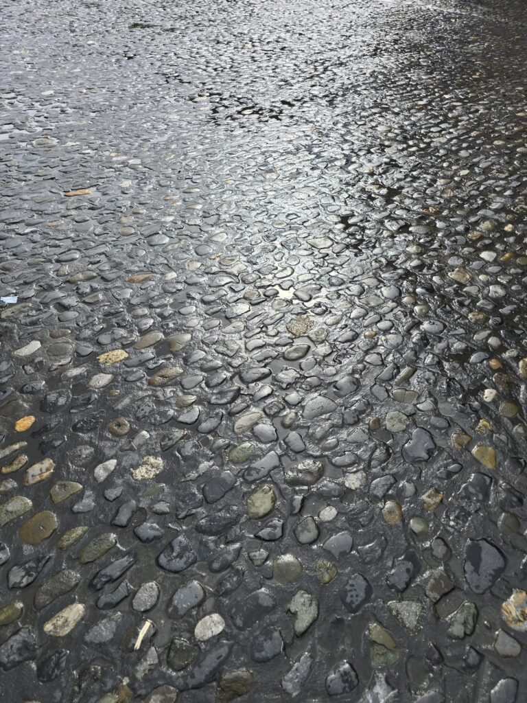 Rain-soaked cobblestones