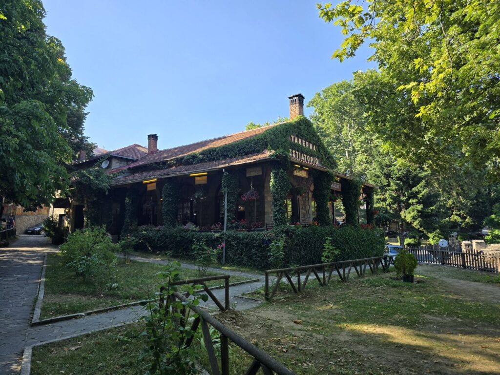 Ivy-covered stone house in a green park
