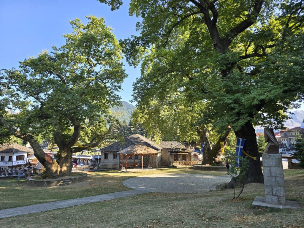 Old plane trees on the main square